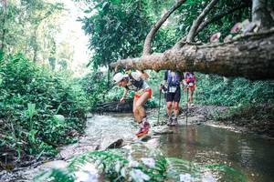 BIB: 
                            <button type="button" onclick="openModal(25434470)" class="btn btn-primary btn-sm float-right btn-popup" data-toggle="modal" data-target=".modal-high-quality">
                        <i class="fas fa-shopping-cart"></i> Add to Cart
                    </button>
                                            <button type="button" onclick="isThisMe(25434470, true)" class="btn btn-success btn-sm float-right btn-popup btn-isme hidden" data-toggle="tooltip" data-placement="bottom" title="นี่คือรูปของคุณใช่ไหม คลิกที่นี่เพื่อเอาเข้าอัลบั้ม">
                        <i class="fas fa-plus"></i> Add to album
                    </button>
                    <button type="button" onclick="isThisMe(25434470, false)" class="btn btn-warning btn-sm float-right btn-popup btn-isnotme hidden">
                        <i class="fas fa-ban"></i> Remove from album
                    </button>